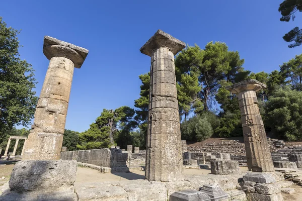 Sisa-sisa kolom Korintus di Olympia, Yunani — Stok Foto