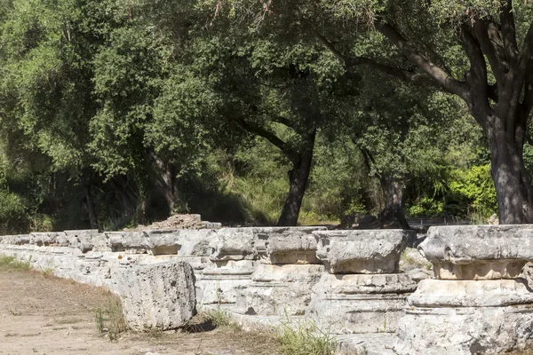 Remains of a Corinthian column in Olympia, Greece — Stock Photo, Image