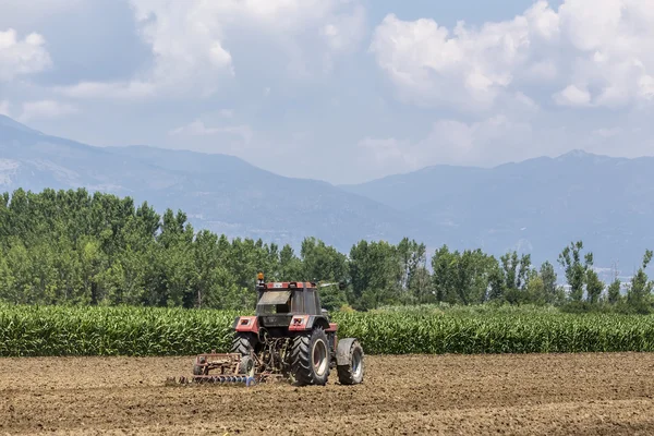 Un tracteur travaillant la plantation de blé dans les champs fertiles de G — Photo