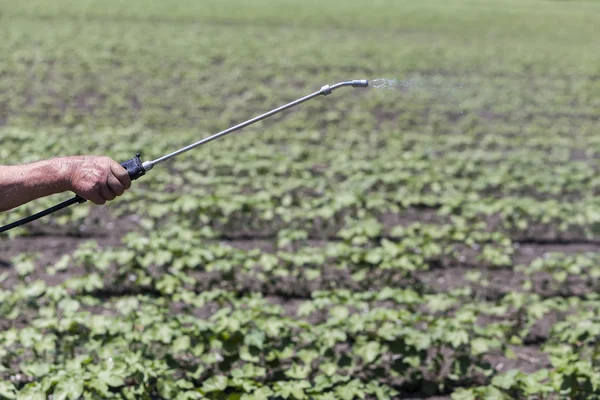 Close Up of a Crop Spray, bico de pulverização de fertilizante na cultura — Fotografia de Stock