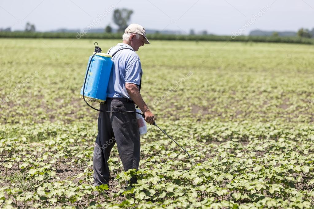 A Farmer spraying cotton field in Greece. Stock Editorial Photo