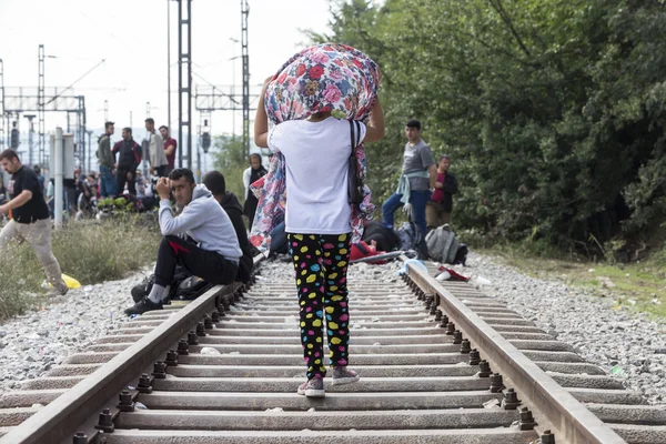A bevándorlók több száz van, a Greec határán vár — Stock Fotó