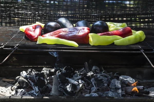 Čerstvé chilli papričky anaheim pražení nad uhlí požáru — Stock fotografie