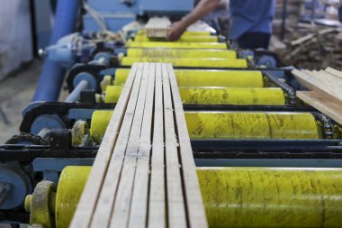 Yunanistan'da bir ağaç işleme fabrikası'nda ahşap bir parça kesip esnaf
