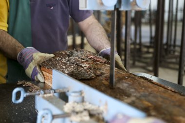 Yunanistan'da bir ağaç işleme fabrikası'nda ahşap bir parça kesip esnaf