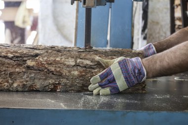 Yunanistan'da bir ağaç işleme fabrikası'nda ahşap bir parça kesip esnaf