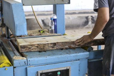 Yunanistan'da bir ağaç işleme fabrikası'nda ahşap bir parça kesip esnaf