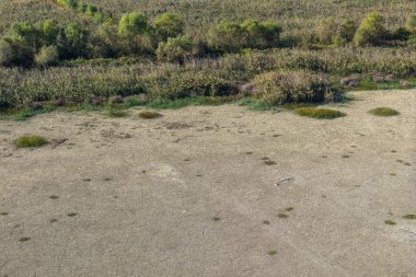 Yunanistan 'ın orta Makedonya kentindeki Koroneia Gölü, açıkta kalan sulak alanları ve azalan su kaynaklı endişe verici kuraklık ve iklim değişikliği işaretlerini ortaya çıkardı