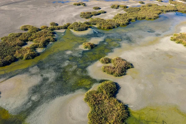 Yunanistan 'ın orta Makedonya kentindeki Koroneia Gölü, açıkta kalan sulak alanları ve azalan su kaynaklı endişe verici kuraklık ve iklim değişikliği işaretlerini ortaya çıkardı
