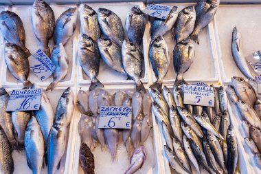 Selanik, Yunanistan, 17 Eylül 2025. Balıkçılar ve müşteriler Kapanis 'teki balık pazarında taze deniz ürünleri vitrinlerinde etkileşim halindeler..