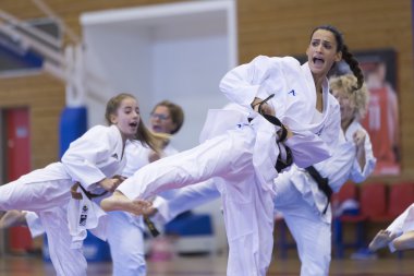 Geleneksel Japon savaş sanatları gösteri