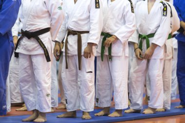 Geleneksel Japon savaş sanatları gösteri