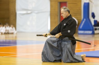 Geleneksel Japon savaş sanatları gösteri