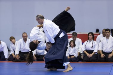 Geleneksel Japon savaş sanatları gösteri