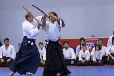Geleneksel Japon savaş sanatları gösteri