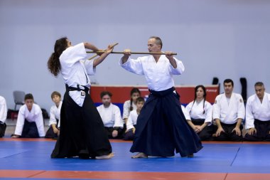 Geleneksel Japon savaş sanatları gösteri