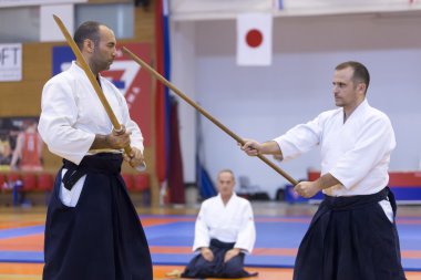 Geleneksel Japon savaş sanatları gösteri