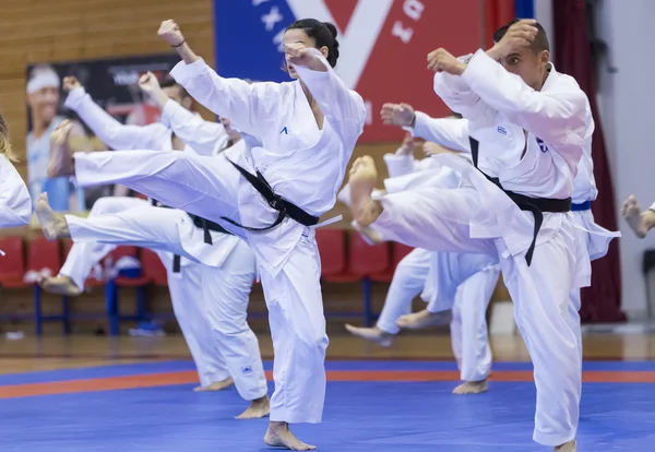 A japán tradicionális harcművészet bemutató — Stock Fotó