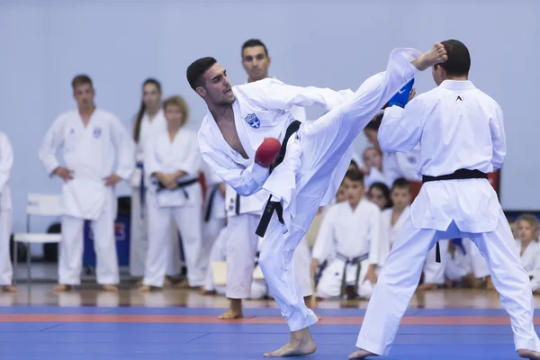 Demonstração das artes marciais tradicionais japonesas — Fotografia de Stock