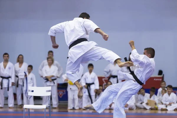 Demonstratie van traditionele Japanse martial arts — Stockfoto