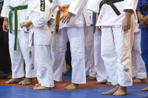 Demonstração das artes marciais tradicionais japonesas — Fotografia de Stock