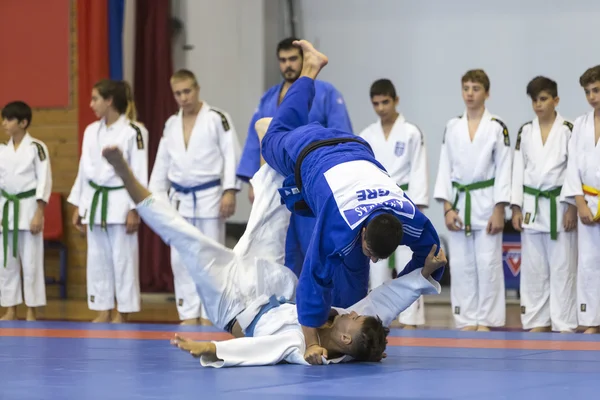 Demonstratie van traditionele Japanse martial arts — Stockfoto