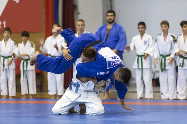 Demonstração das artes marciais tradicionais japonesas — Fotografia de Stock