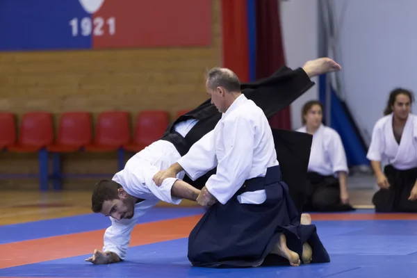 Demonstratie van traditionele Japanse martial arts — Stockfoto