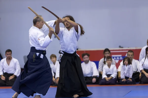 Demonstração das artes marciais tradicionais japonesas — Fotografia de Stock