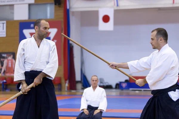 日本の伝統的な武道のデモンストレーション — ストック写真