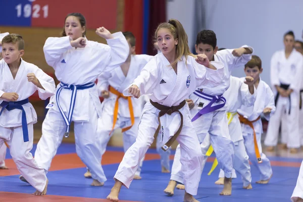 Demonstração das artes marciais tradicionais japonesas — Fotografia de Stock