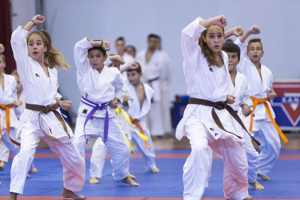 Demonstration  of Japanese traditional martial arts — Stock Photo, Image