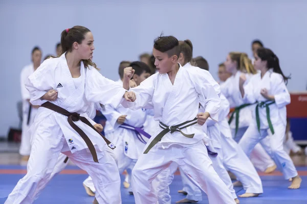 Demostración de las artes marciales tradicionales japonesas — Foto de Stock