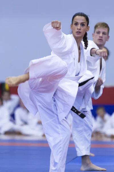 Demonstração das artes marciais tradicionais japonesas — Fotografia de Stock