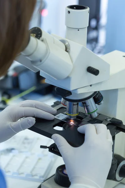 Женщины, работающие в микробиологии - Биохимическая лаборатория и N — стоковое фото
