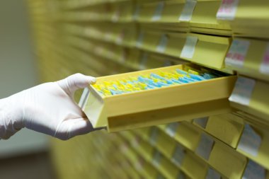 Mikrobiyoloji - çalışan kadınlar biyokimyasal laboratuvar ve N