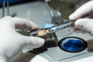 Mikrobiyoloji - çalışan kadınlar biyokimyasal laboratuvar ve N