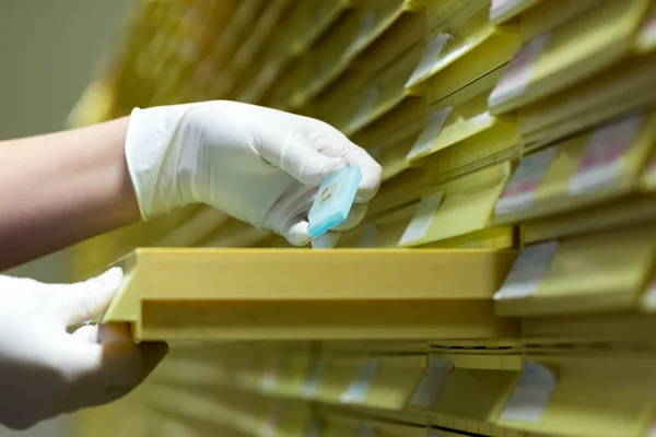 Mujeres que trabajan en Microbiología - Laboratorio Bioquímico y el N — Foto de Stock