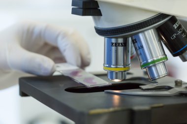 Mikrobiyoloji - çalışan kadınlar biyokimyasal laboratuvar ve N