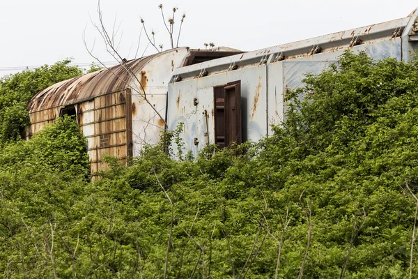 Old and abandoned passenger train wagons in nature — Stock Photo, Image