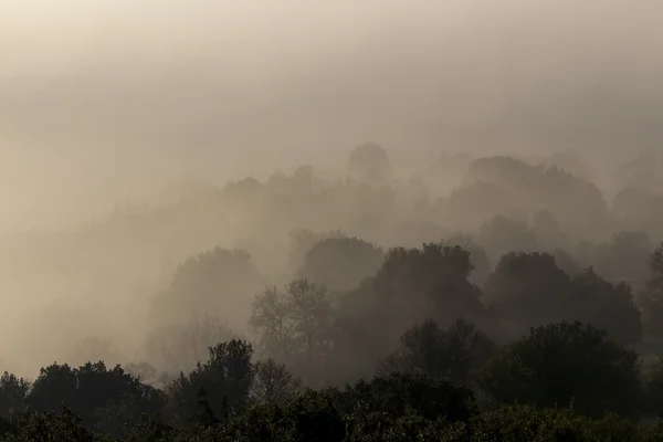 Cenário de outono cedo com nevoeiro em Zagorochoria, Epiro Grécia — Fotografia de Stock
