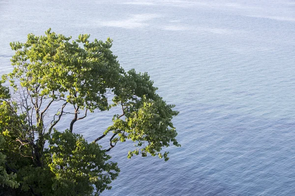 Bir ağacın Katerini, Yunanistan güzel plajda havadan görünümü — Stok fotoğraf