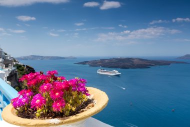 Saksıyı Santorini okyanusta önünde 