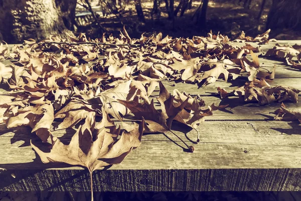 Folhas de outono em uma superfície de madeira (foco suave). Transformados — Fotografia de Stock