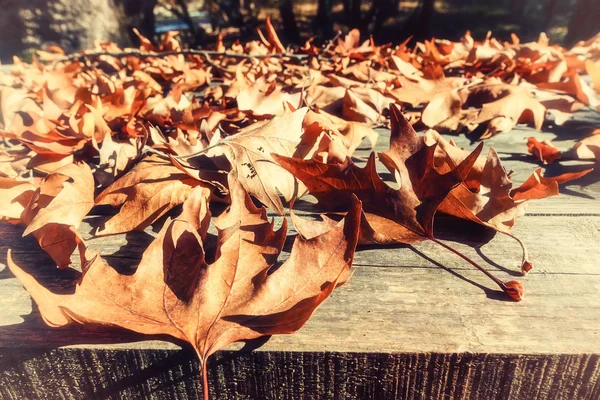 Jesienne liście na drewnianych powierzchni (nieostrość). Krzyż przetworzone — Zdjęcie stockowe