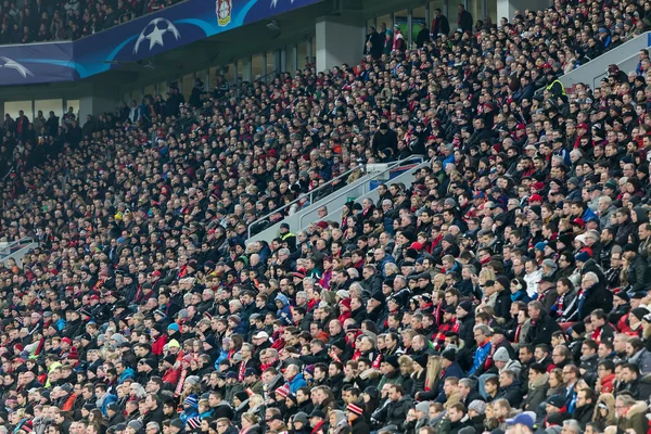 Fans de Bayer celebrando por su equipo durante el partido de la C —  Fotos de Stock