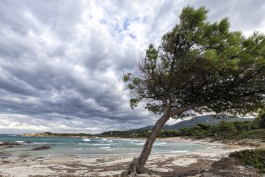 Cennet defne plaj, el değmemiş doğası soyut adalar Denizi