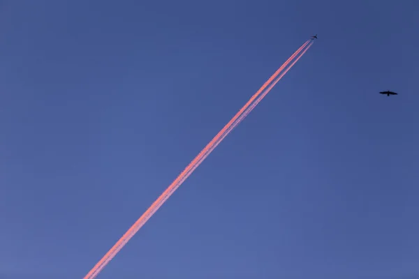 Flugzeug mit Kondensstreifen hoch am Himmel bei Sonnenuntergang — Stockfoto