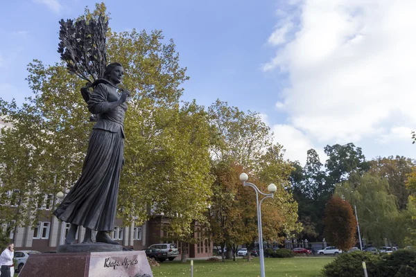 Vue des statues et monuments de Krasnodar, Russie . — Photo