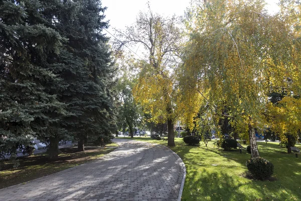 View of a park in Krasnodar, Russia. Under the Koppen climate c — Stock Photo, Image